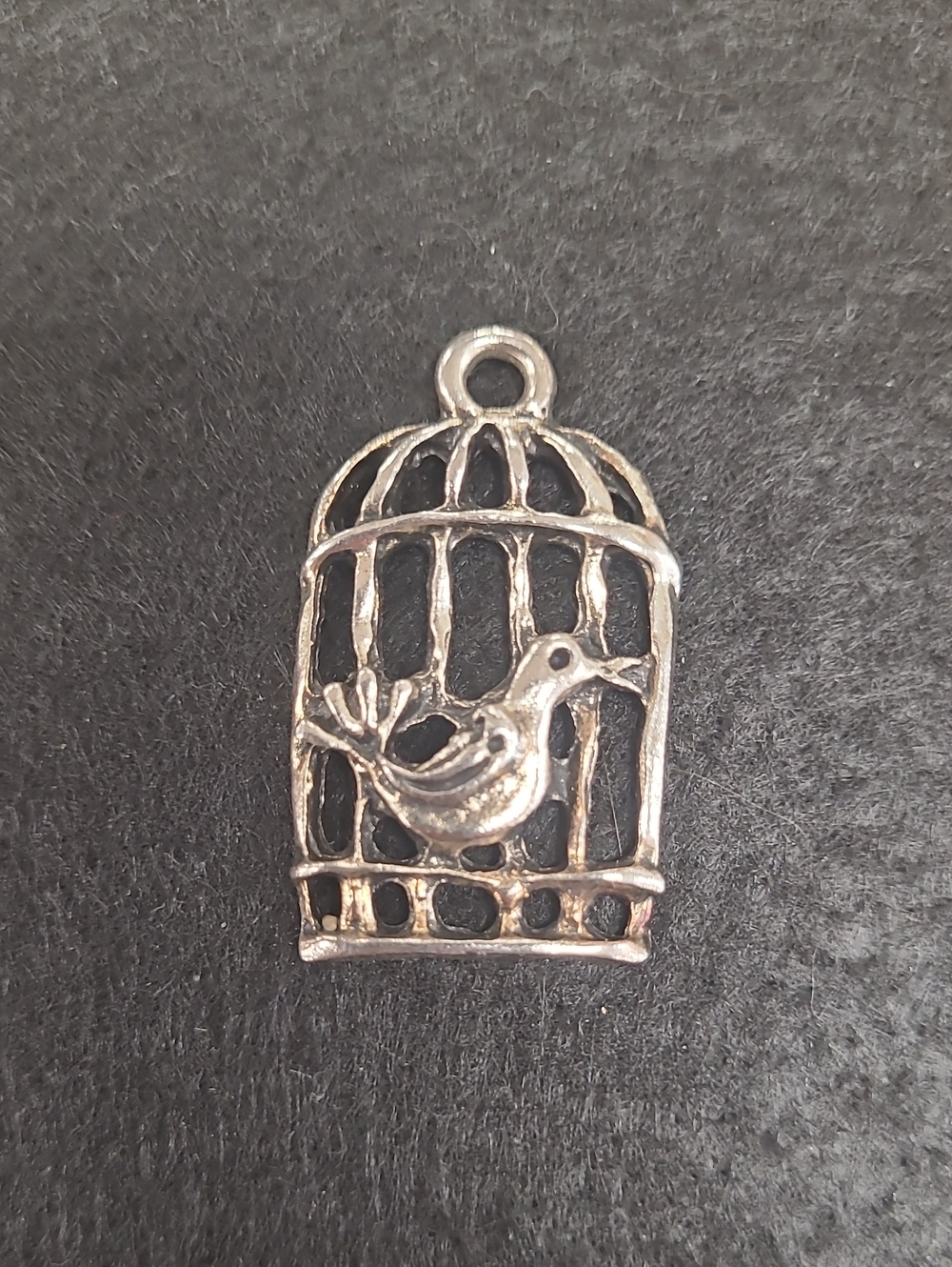 Silver Tone Bird in Cage Pendant Charm